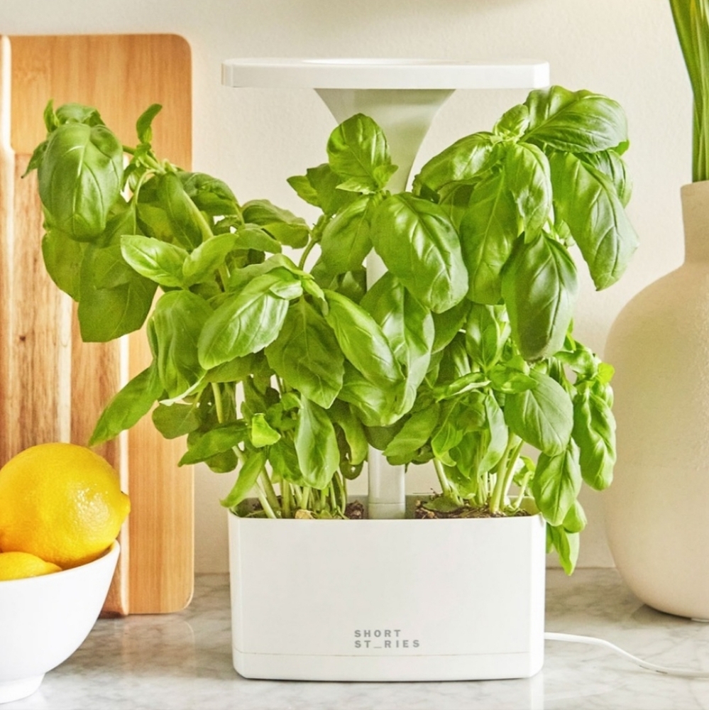 Short Stories LED Indoor Planter